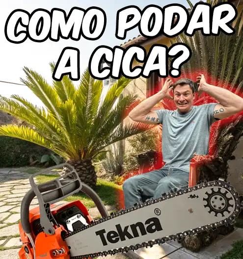 Como podar Cica?